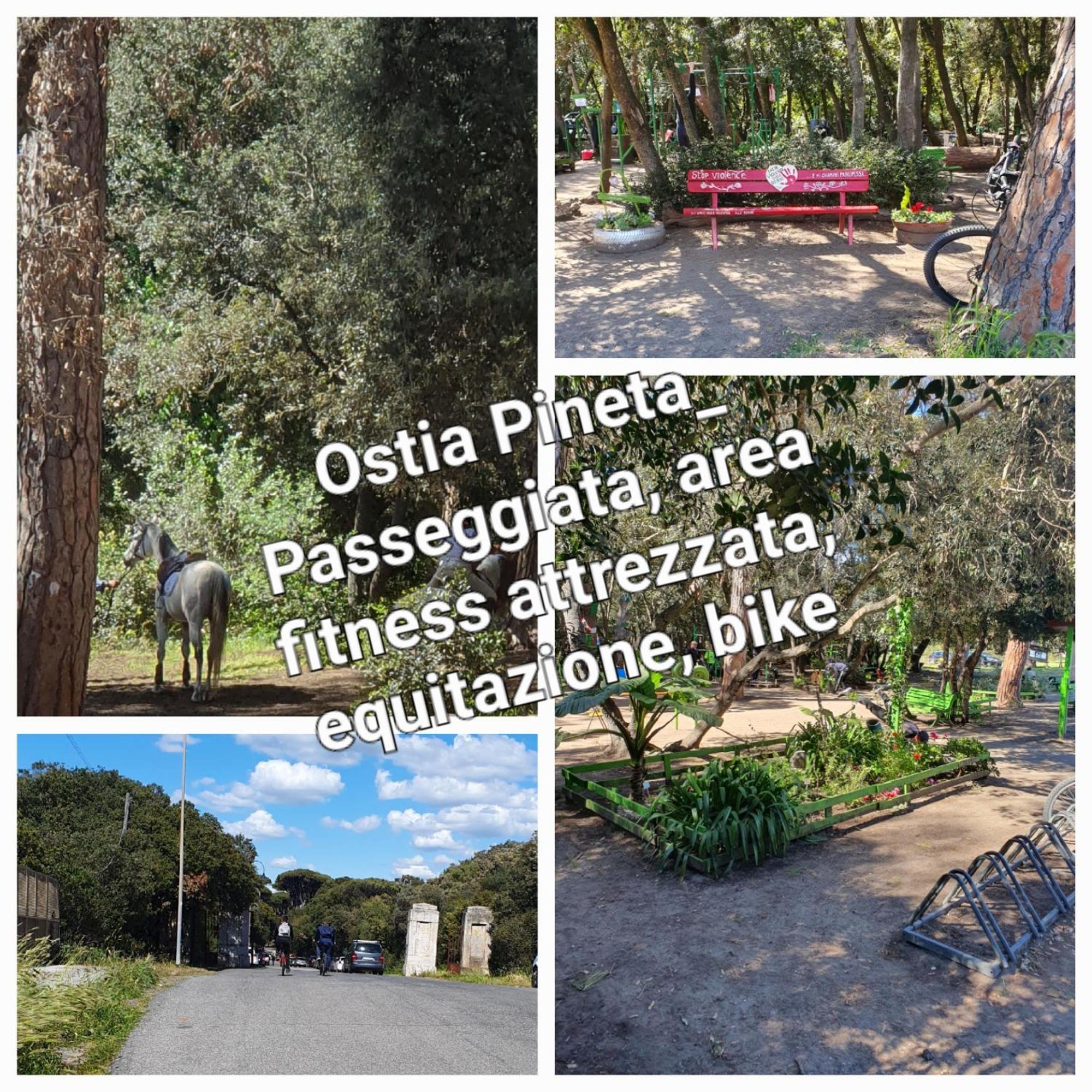 Casa Diana Ostia Lejlighed Eksteriør billede